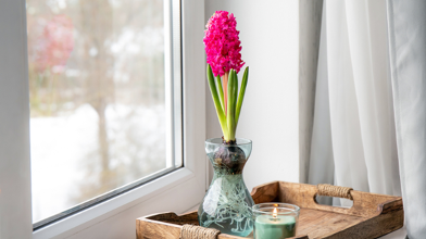 Do’s and don’ts for buying used pickup trucks