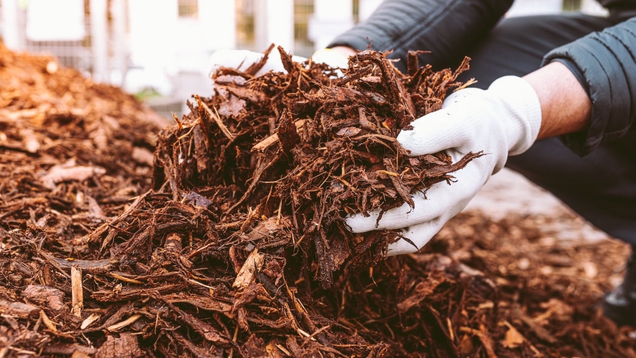 Do’s and don’ts for buying used pickup trucks