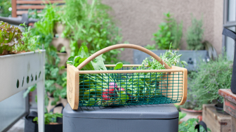 Do’s and don’ts for buying used pickup trucks