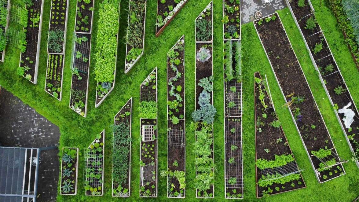 Do’s and don’ts for buying used pickup trucks