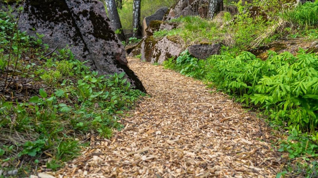 Do’s and don’ts for buying used pickup trucks