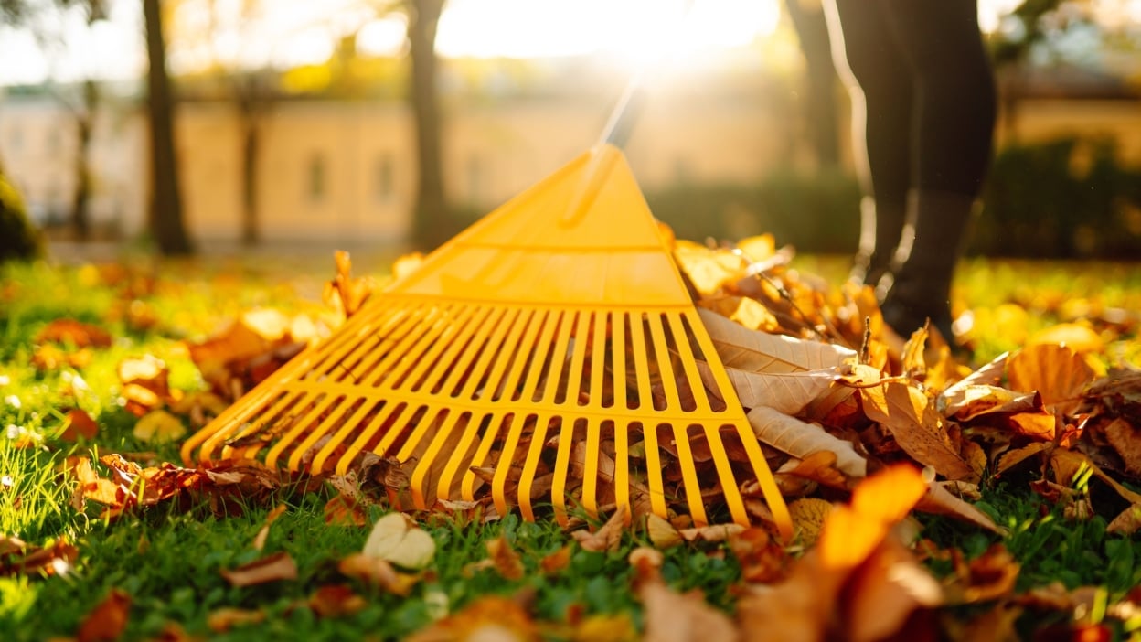 Do’s and don’ts for buying used pickup trucks