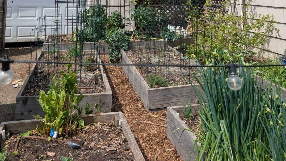 Do’s and don’ts for buying used pickup trucks