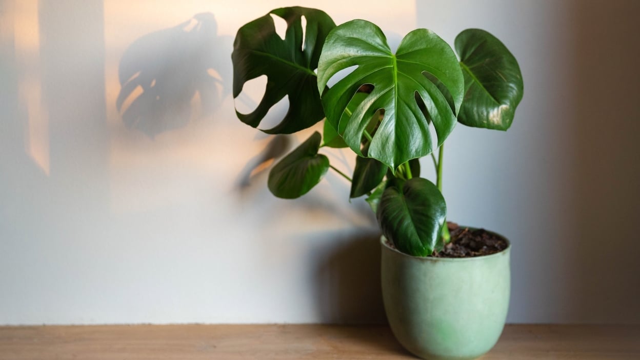 Do’s and don’ts for buying used pickup trucks