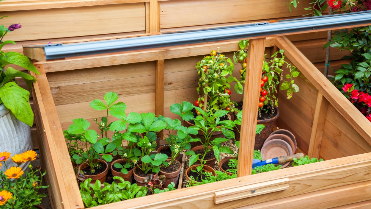 Do’s and don’ts for buying used pickup trucks