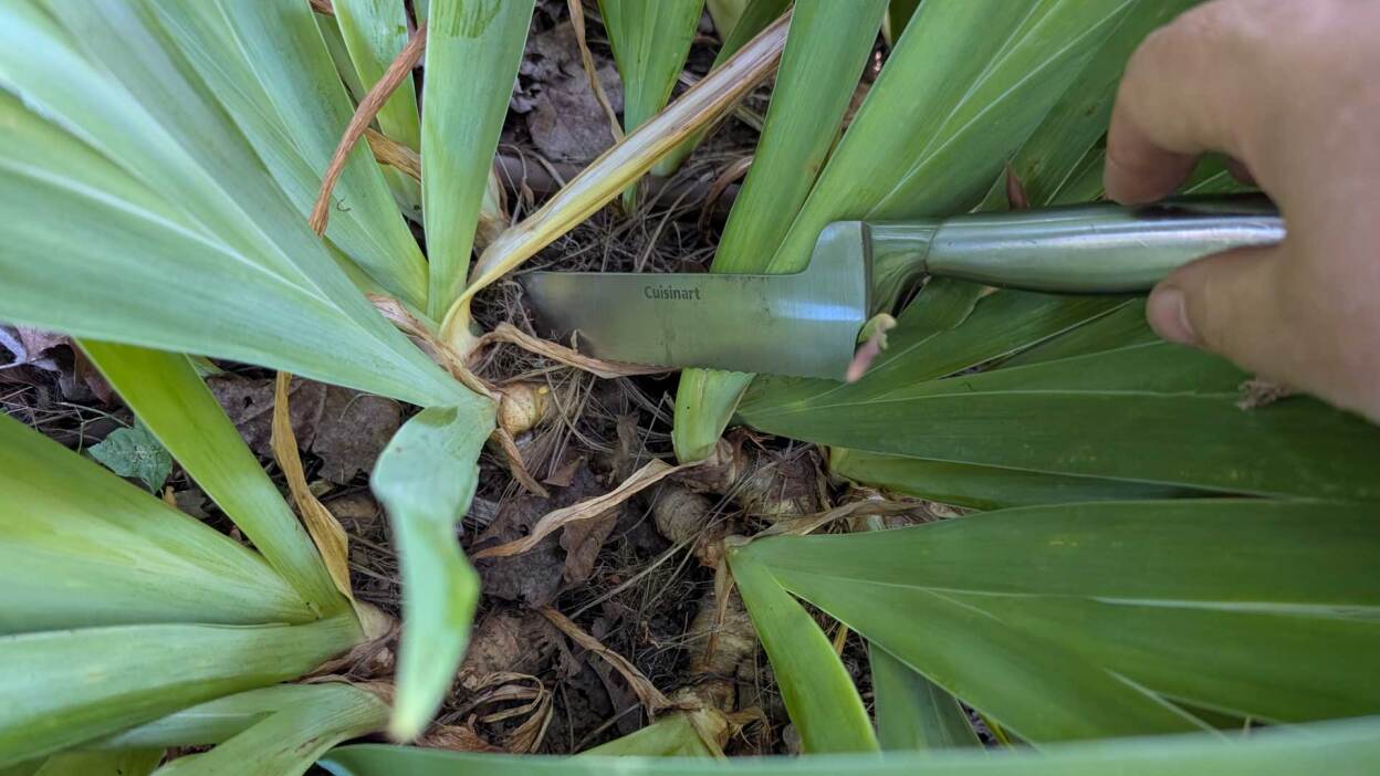 Do’s and don’ts for buying used pickup trucks