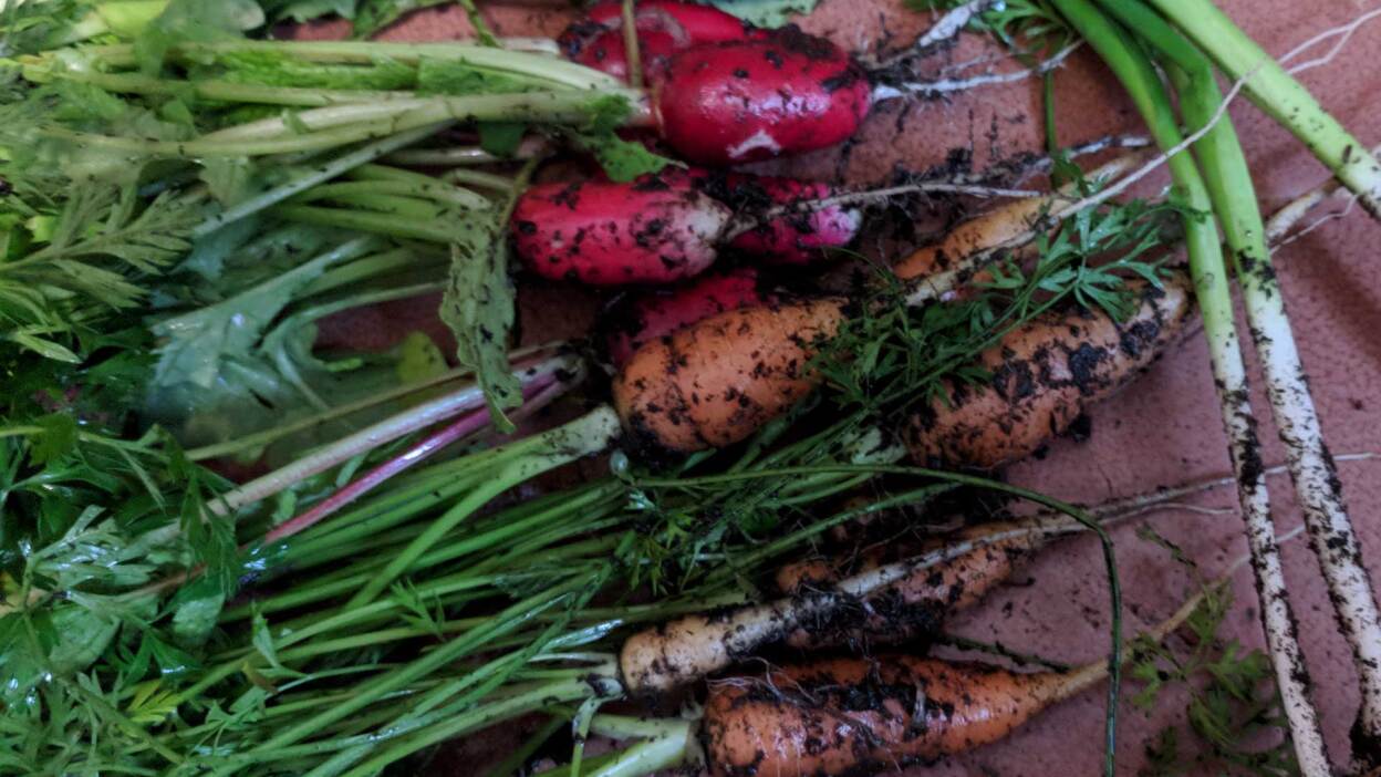 Do’s and don’ts for buying used pickup trucks