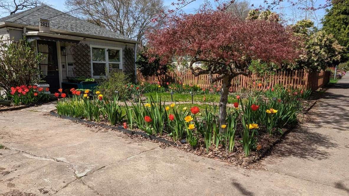 Do’s and don’ts for buying used pickup trucks