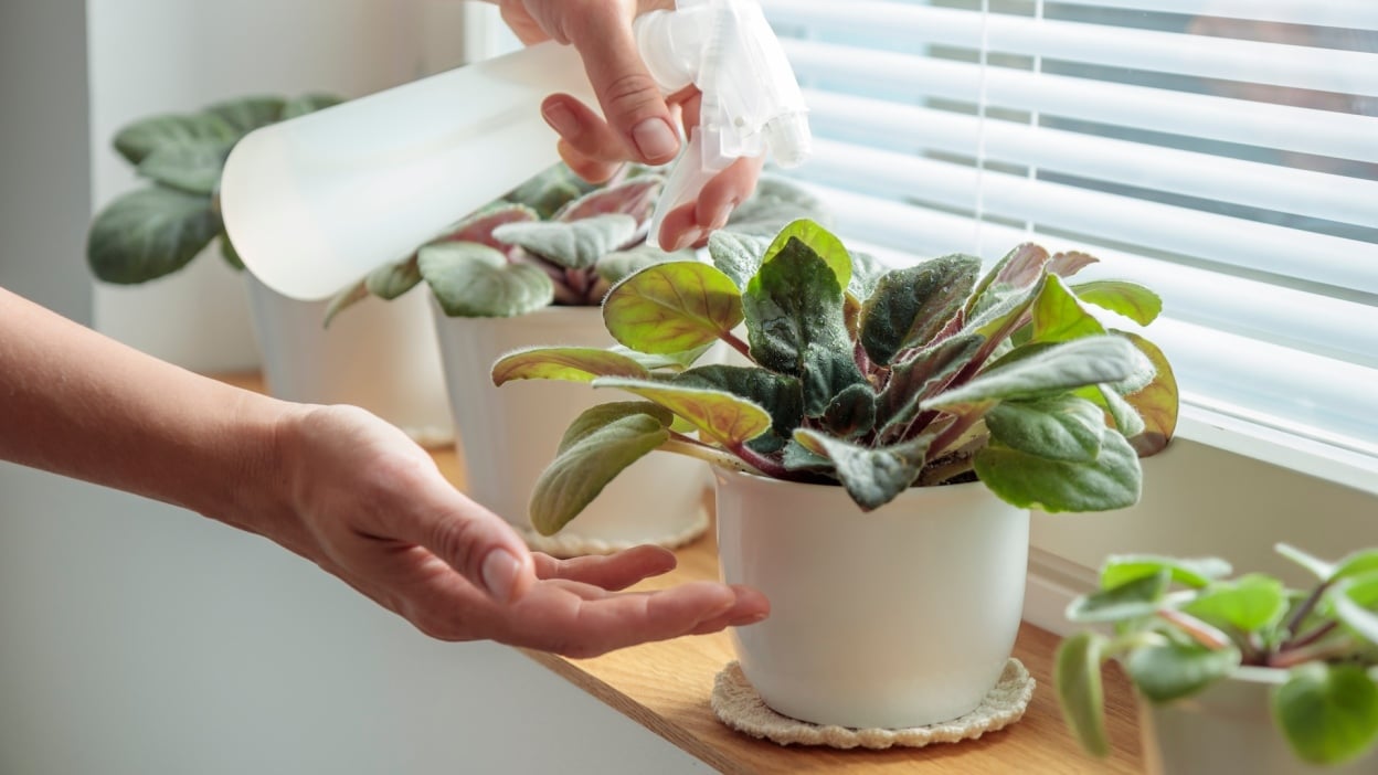 Do’s and don’ts for buying used pickup trucks