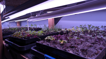 Do’s and don’ts for buying used pickup trucks