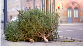 Do’s and don’ts for buying used pickup trucks