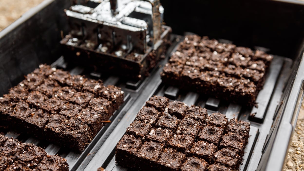 Do’s and don’ts for buying used pickup trucks