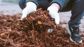 Do’s and don’ts for buying used pickup trucks