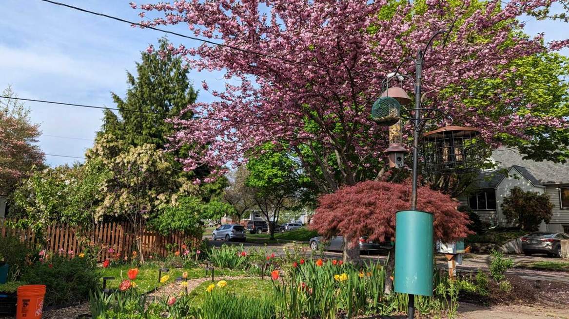 Do’s and don’ts for buying used pickup trucks