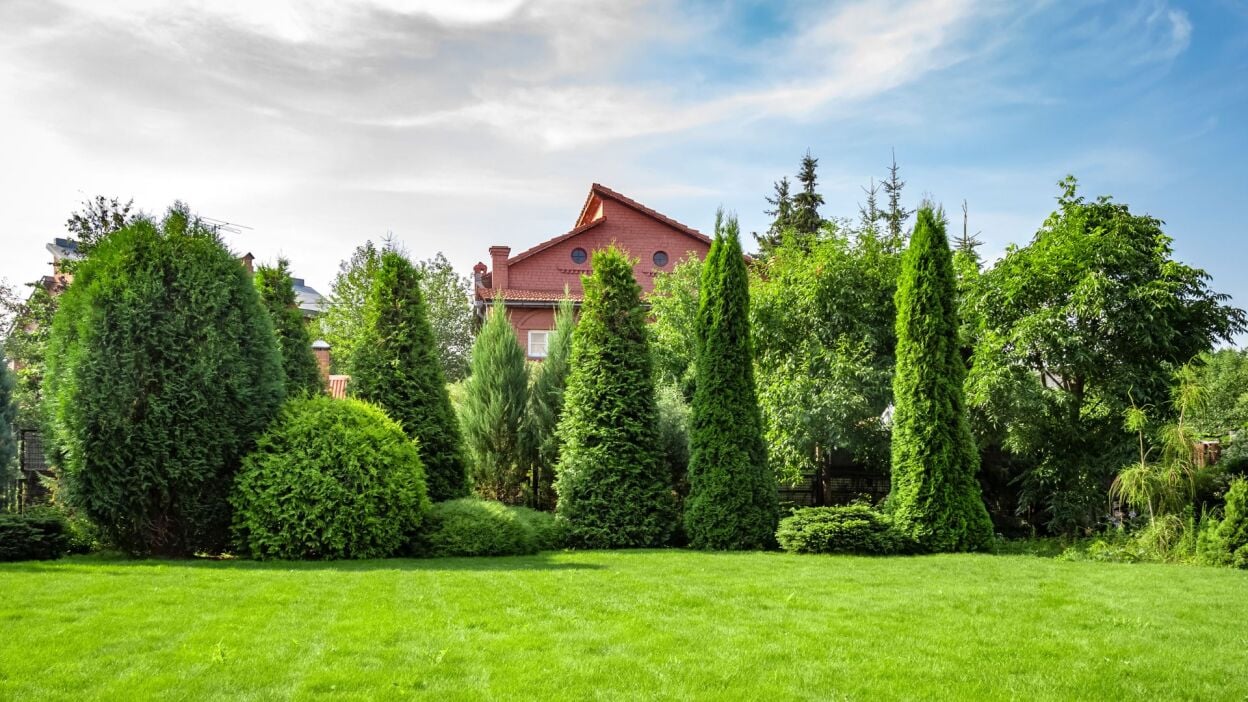 Do’s and don’ts for buying used pickup trucks