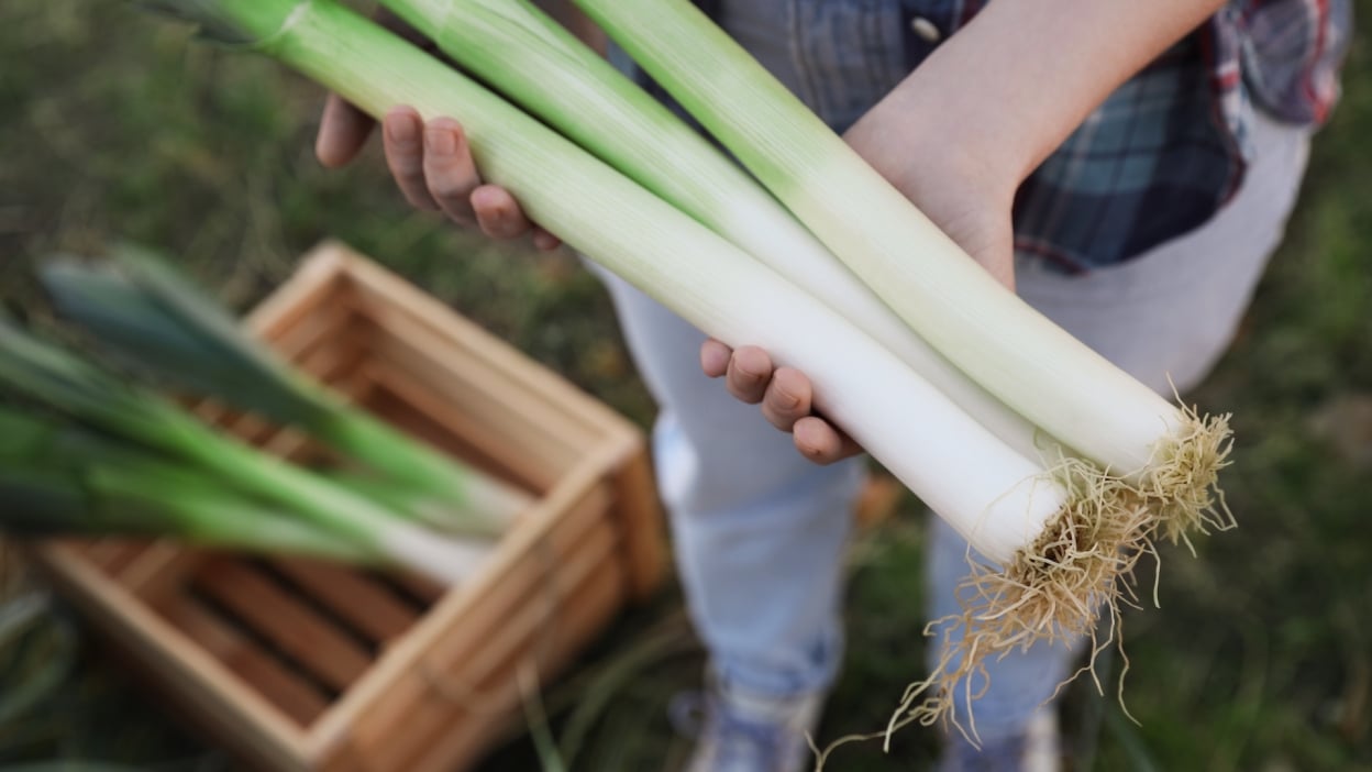 Do’s and don’ts for buying used pickup trucks